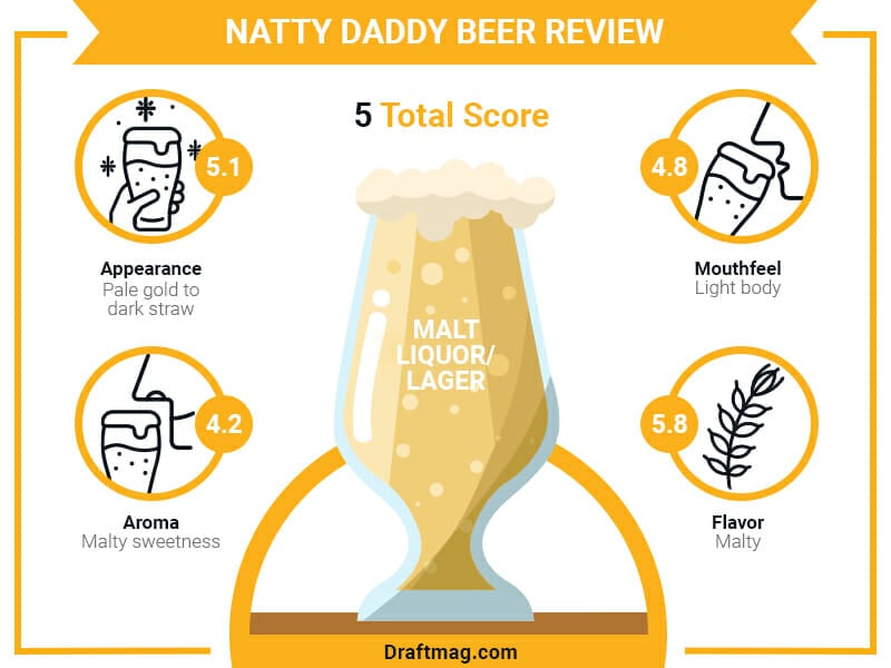 Natty Daddy Beer Review Infographic