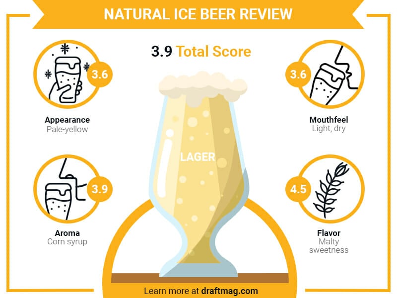 Natural ice beer infographic