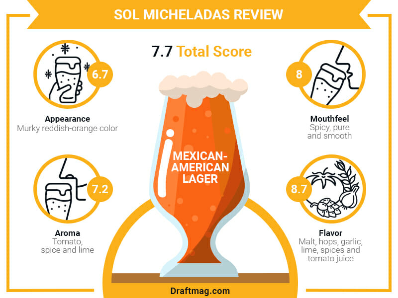 Sol Micheladas Review Infographic