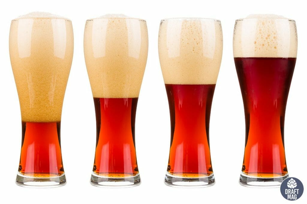 Whale’s Tale Beer Review A Guide to This Special English Pale Ale