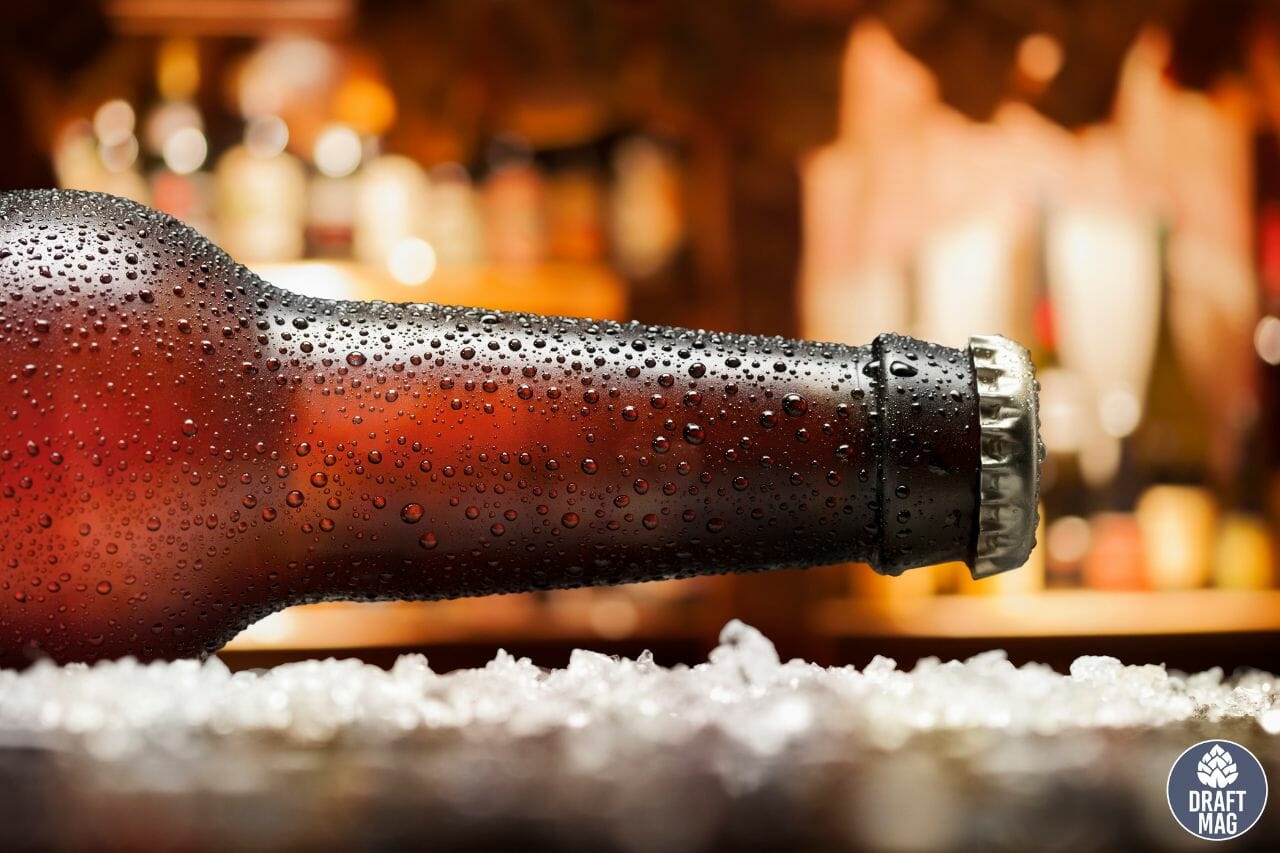 XXXX Bitter Review An Excellent American Adjunct Lager for You