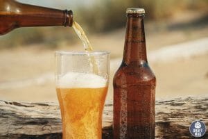 XXXX Bitter Review: A Complete Look at This Top Queensland Beer