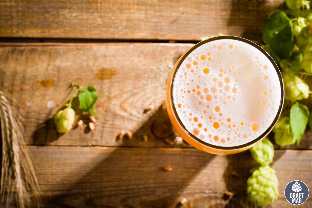 Ziegenbock Beer Review A Detailed Look at America’s Finest Beer