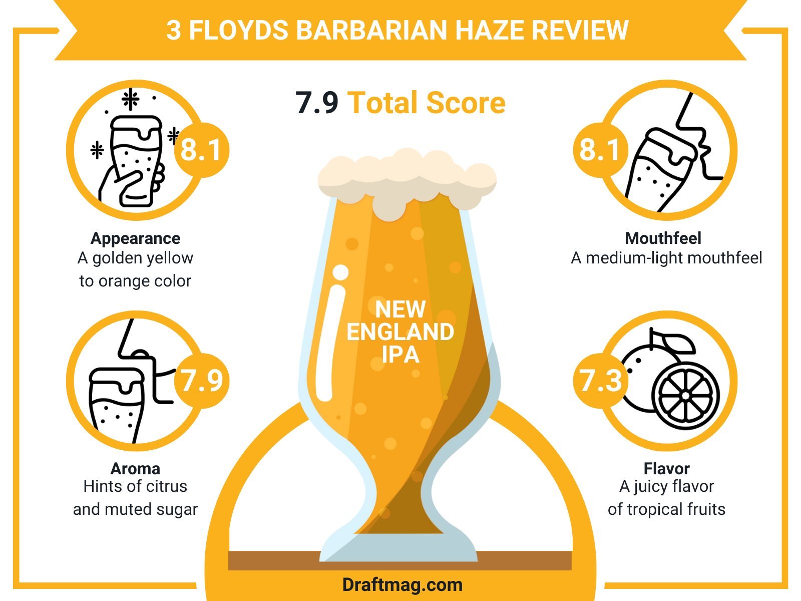 3 Floyds Review Infographic