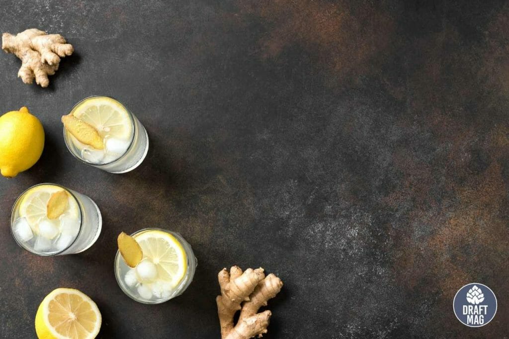 Ale vs Beer A Complete Guide to Key Differences and Similarities