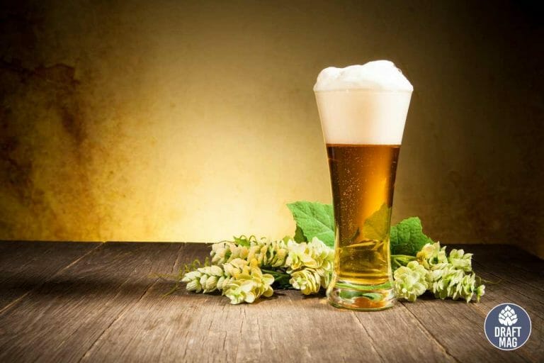 Ale vs Beer A Complete Guide to Key Differences and Similarities