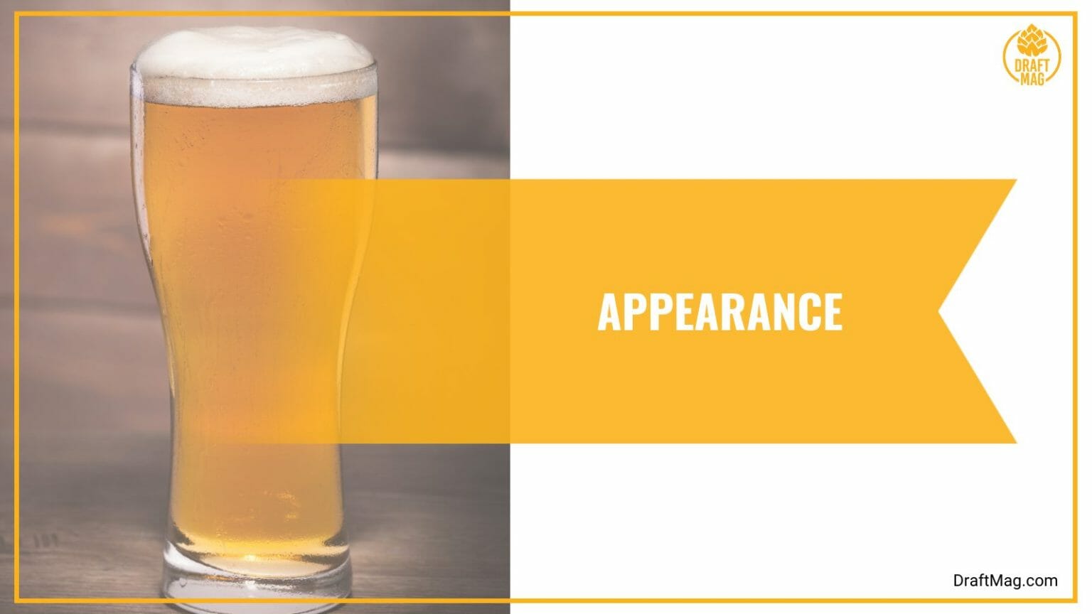 Flying Horse Beer Review A Guide to This Popular Indian Beer