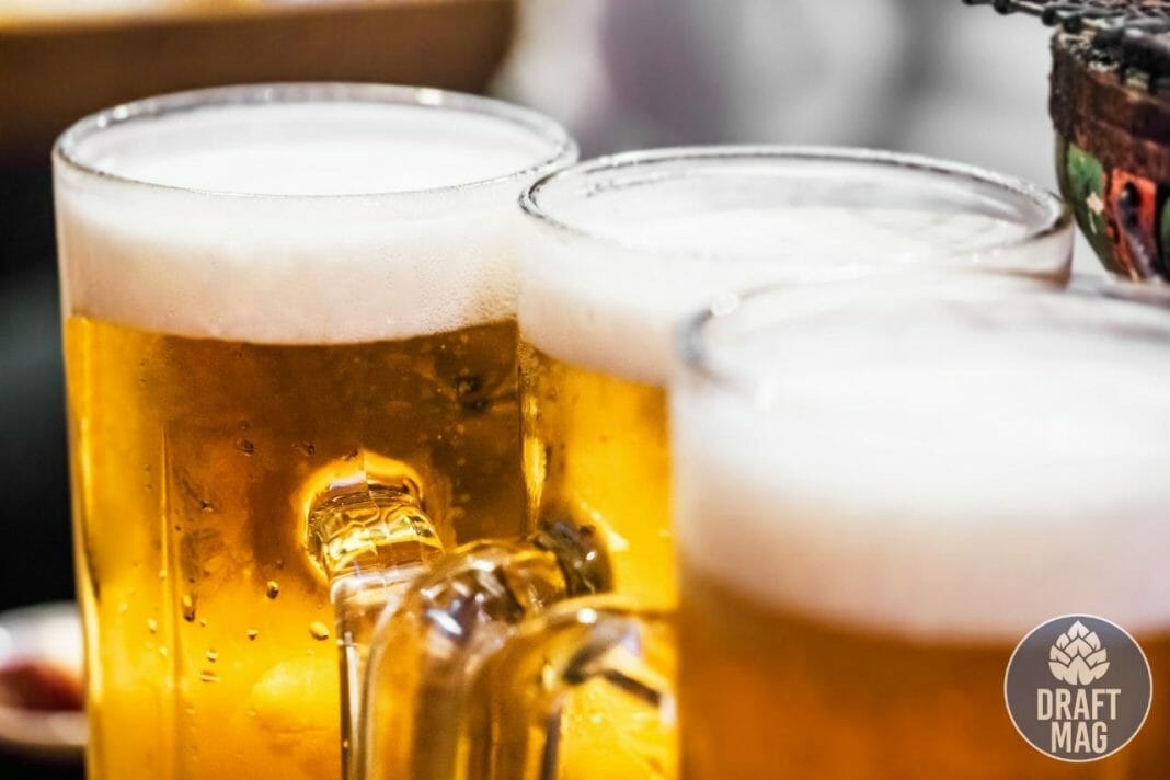 Best Breweries in NYC The Ultimate List of 22 Musttry Breweries