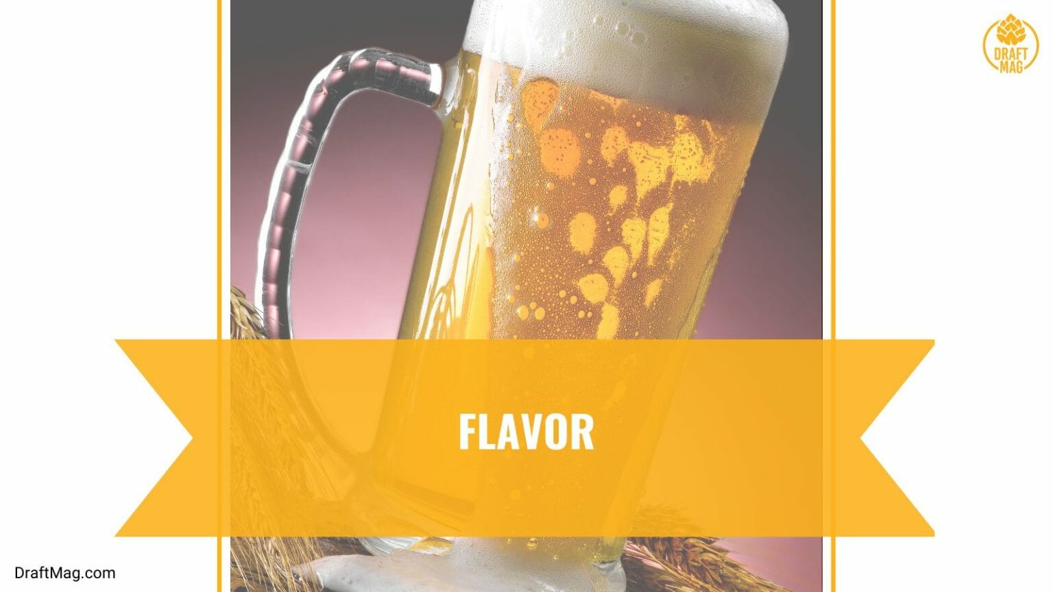 Blue Point Imperial Sunshine Review Is This the Perfect Blonde Ale?