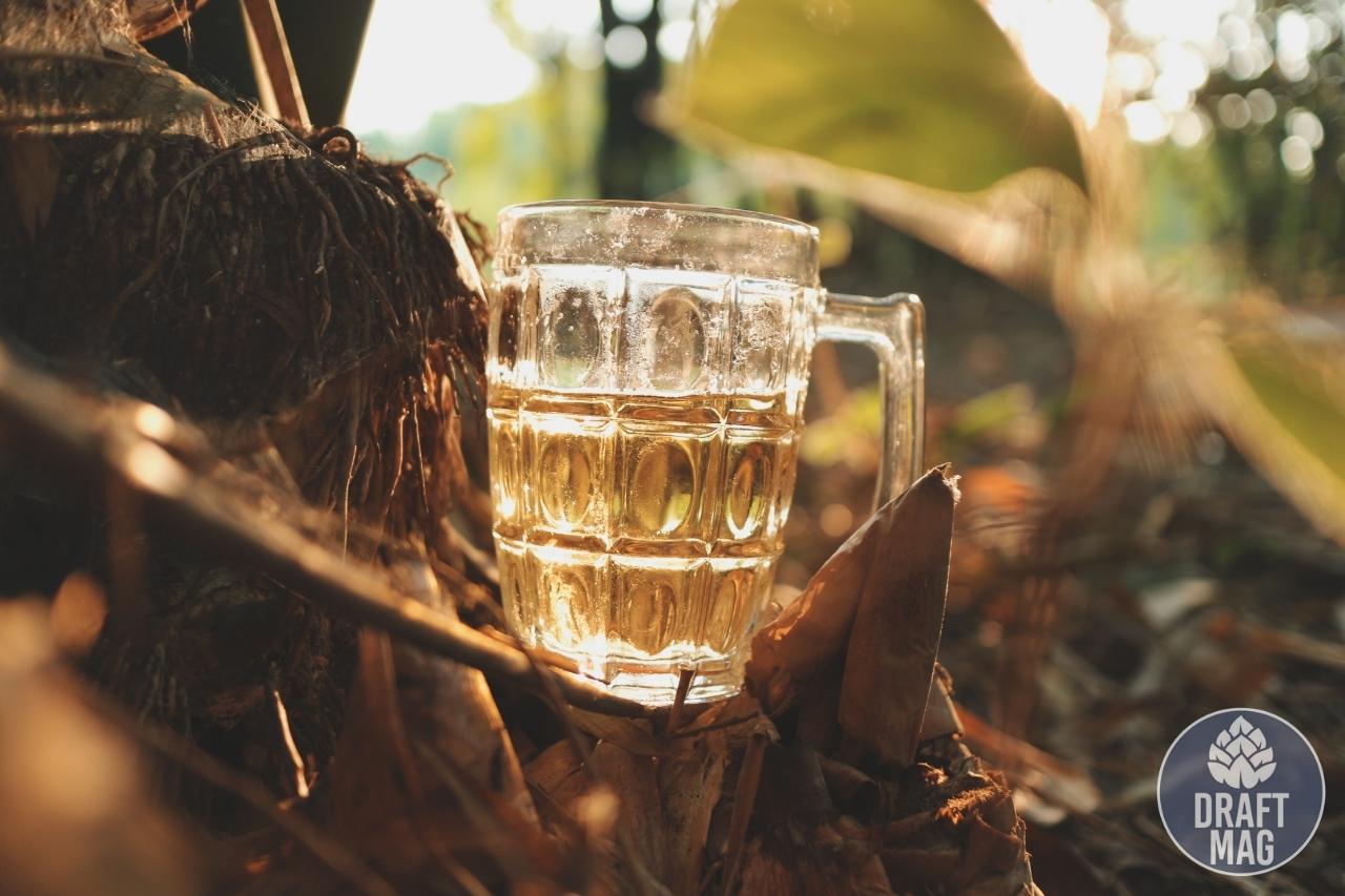 Breweries in Augusta GA The Ultimate Guide to Best Brewpubs