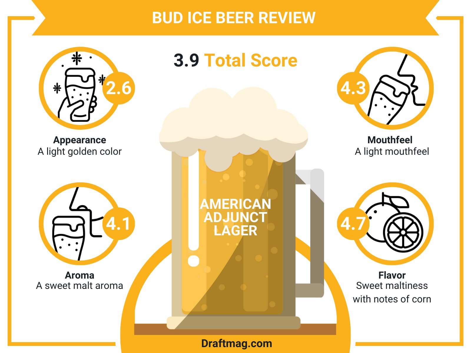 Bud Ice Beer Review Infographic
