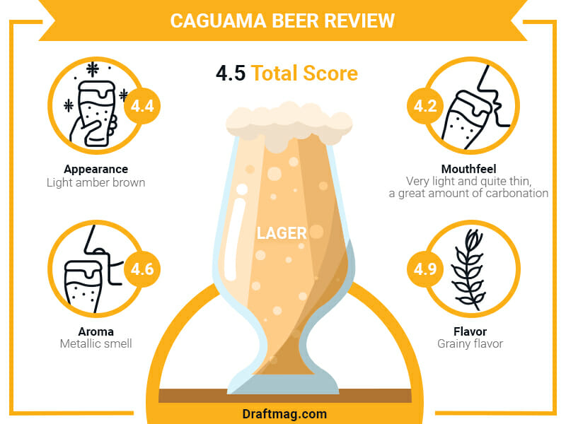 Caguama Beer Review Infographic