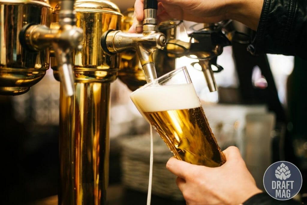 Canned Heat Brewing Review Top Craft Beers in Massachusetts