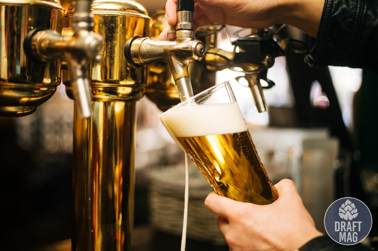 Canned Heat Brewing Review Top Craft Beers in Massachusetts