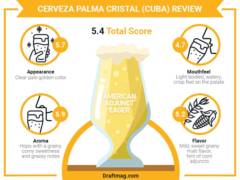 Cerveza Cristal Cubana Review Infographic