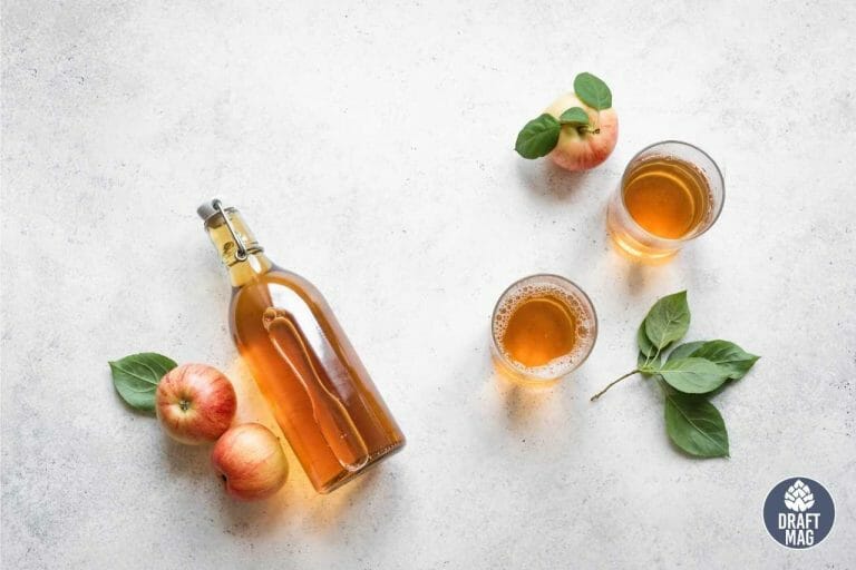 Cider vs Beer Which Is the More Flavorful and Healthier Option?