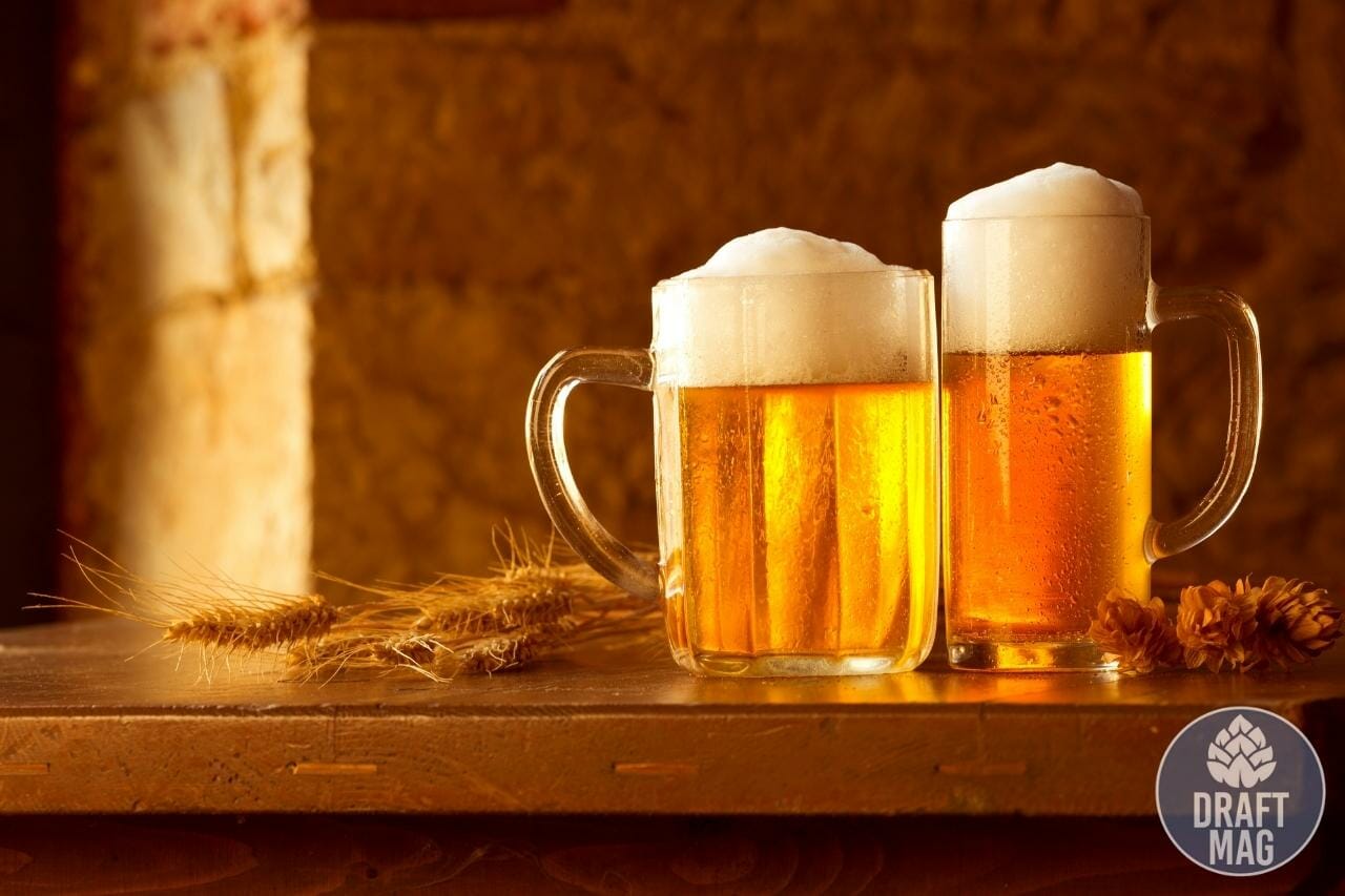 Cusquena Beer Review Give This Fantastic European Lager Beer a Try