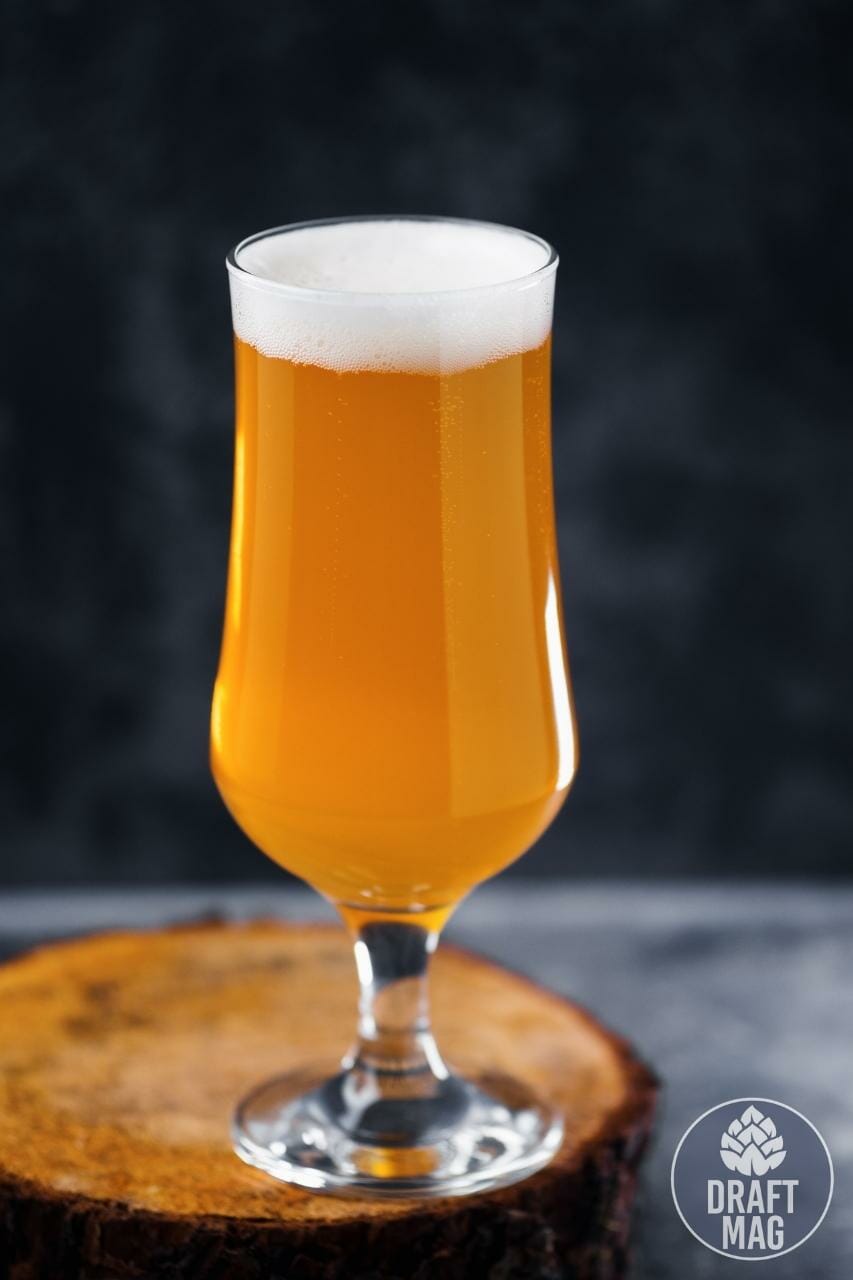 Double IPA vs Imperial IPA Are They Any Different?