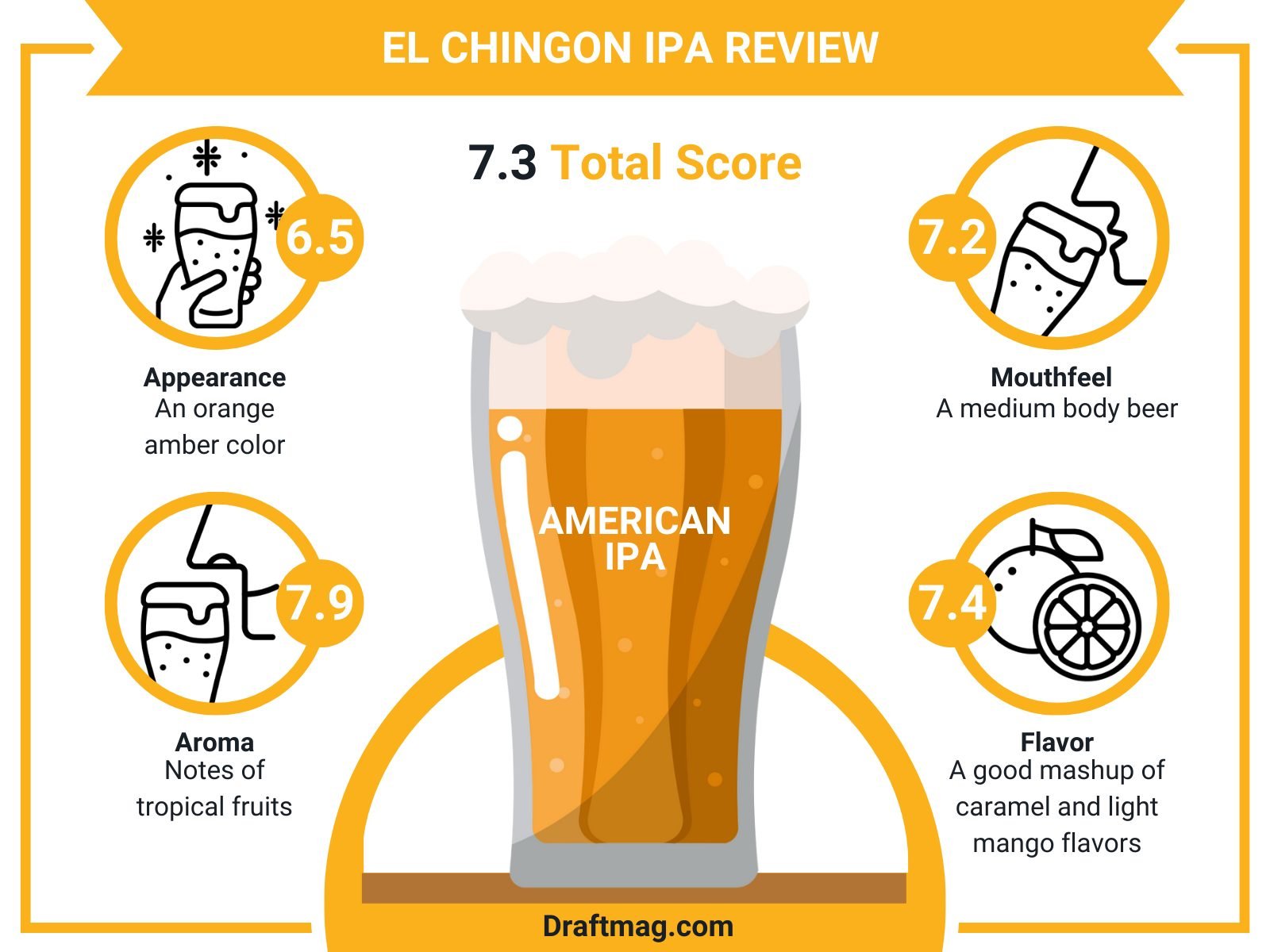 El Chingon Ipa Review Infographic
