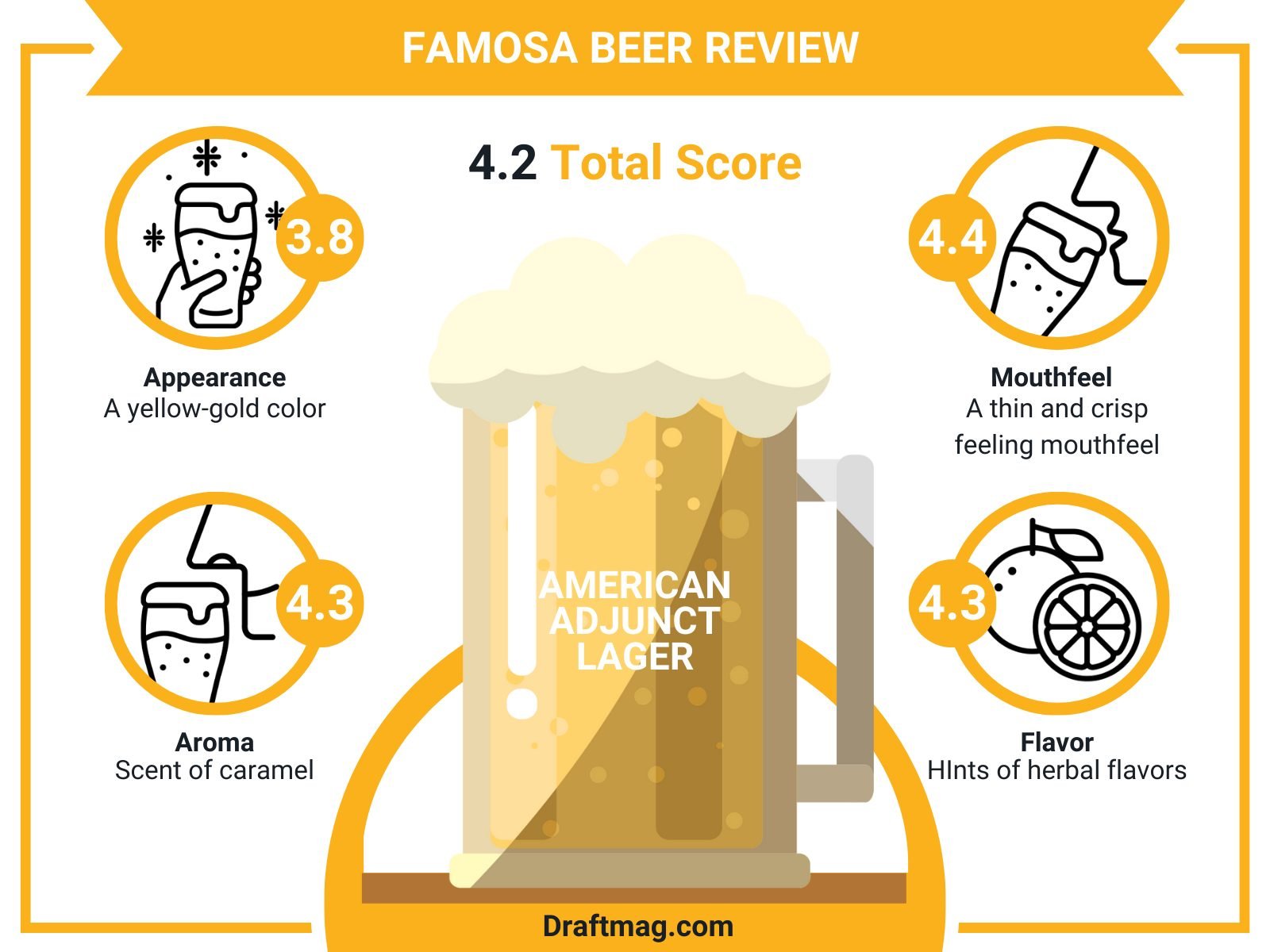Famosa Beer Review Infographic