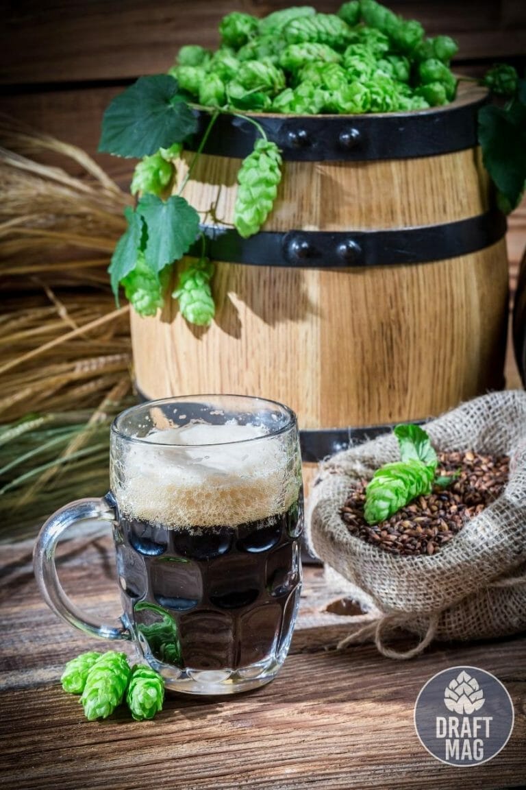 Famosa Beer Review Classic Example of a Great American Lager