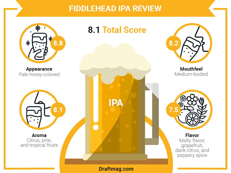 Fiddlehead IPA Review Infographic
