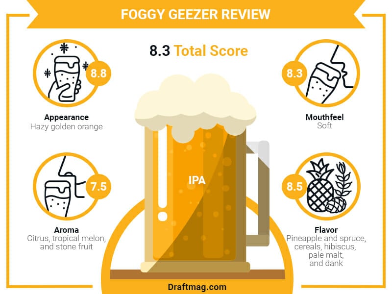 Foggy Geezer Review Infographic