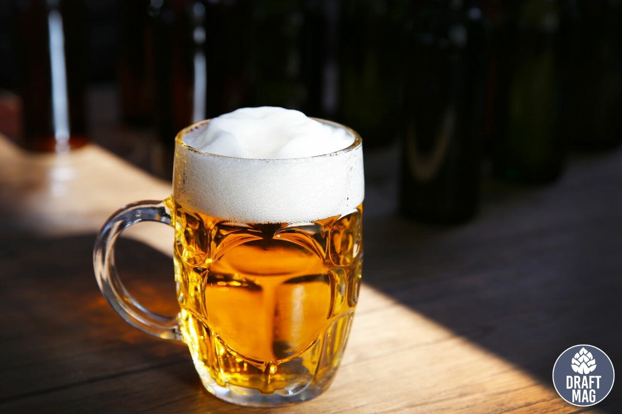 Folded Mountains Pale Ale Review Revealing One of the Finest Pales