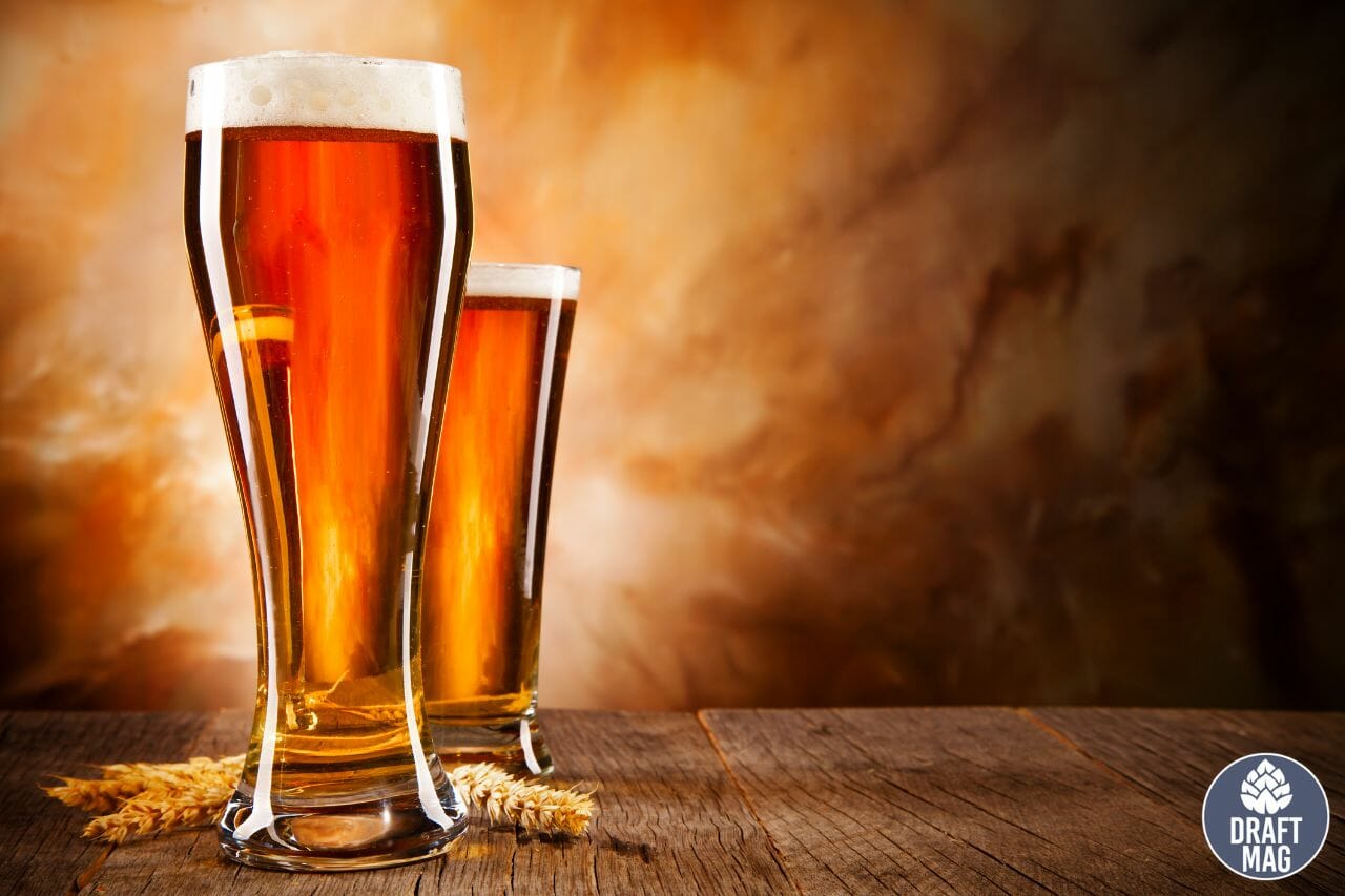 Fosters Premium Ale Review The Australian Beer You Must Try