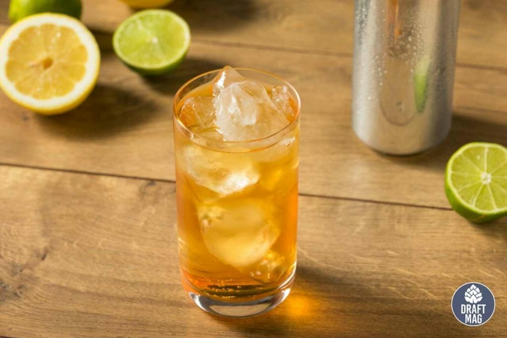 Ginger Ale vs Ginger Beer Which Is the Better Ginger Beverage?