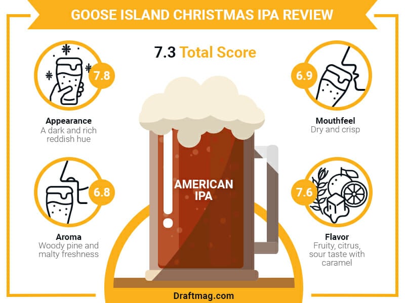 Goose Island Christmas IPA Infographic