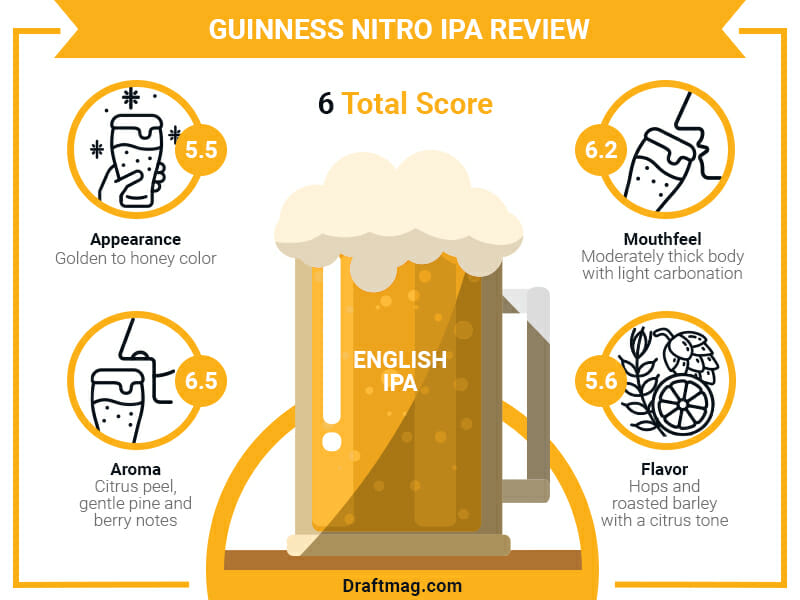 Guinness Nitro IPA Review Infographic