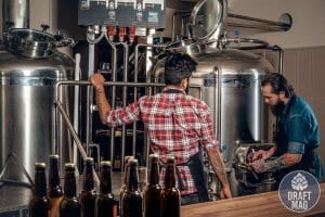 Herms vs Rims: Which Home Brewing System Is the Best?