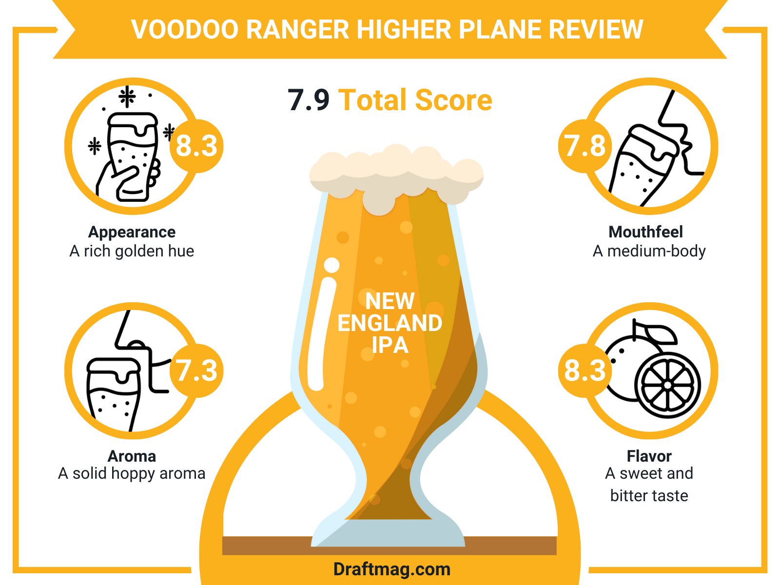 Higher Plane Review Infographic