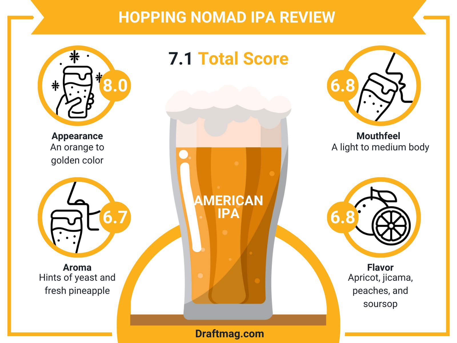 Hopping Nomad IPA Review Infographic