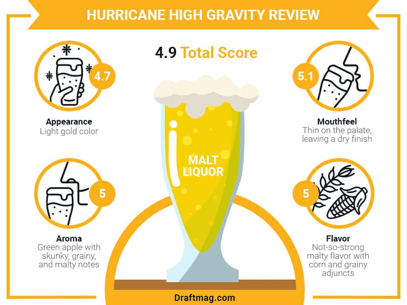 Hurricane High Gravity Review Infographic