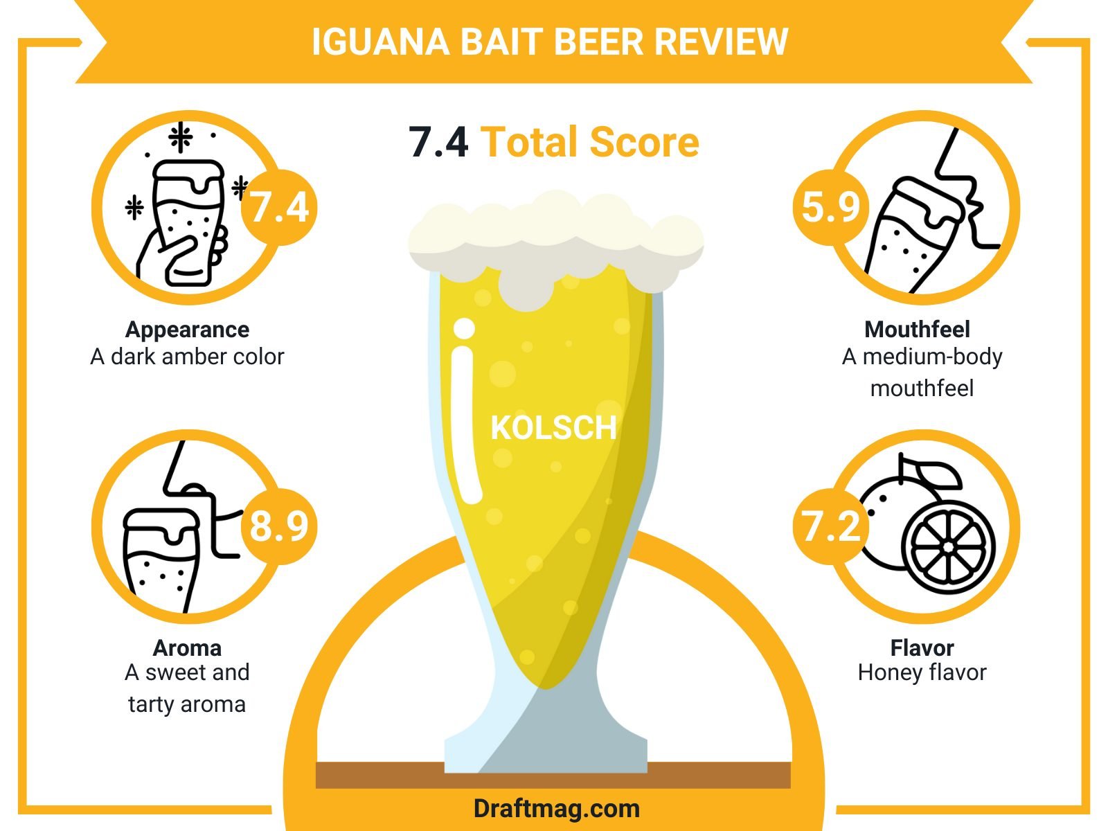 Iguana Bait Beer Review Infographic