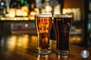Ipa vs beer the differences