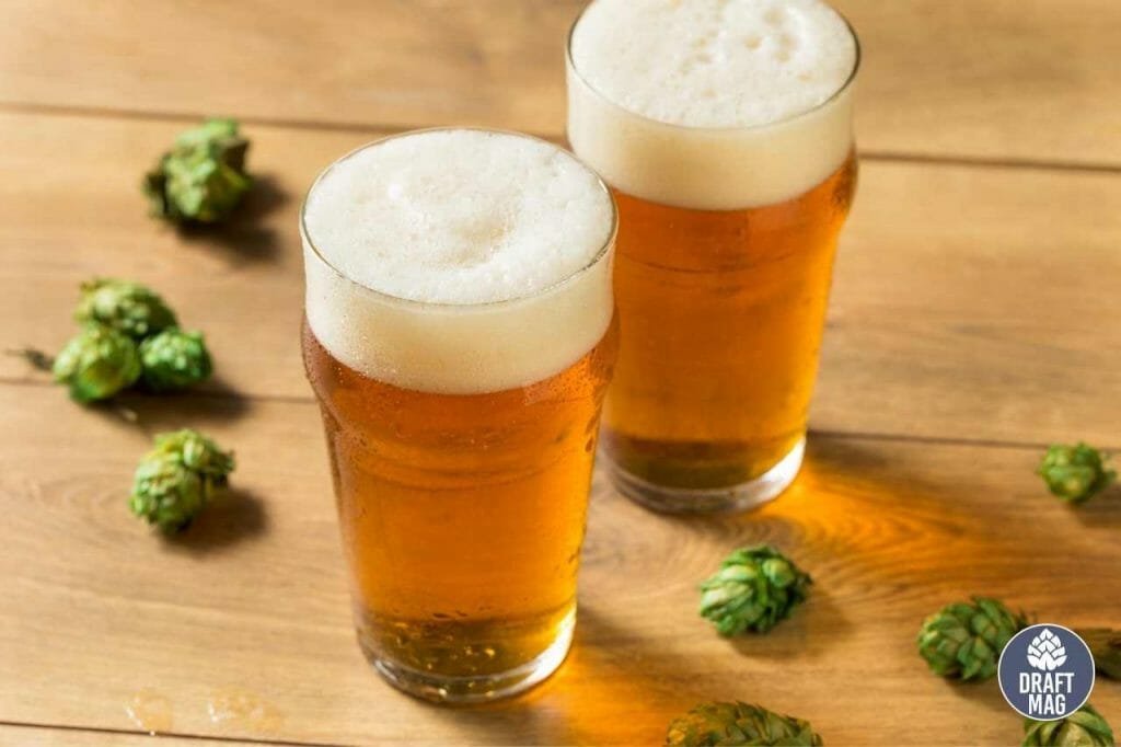 Ipa vs Beer A Guide to the Differences of IPA From Other Beers