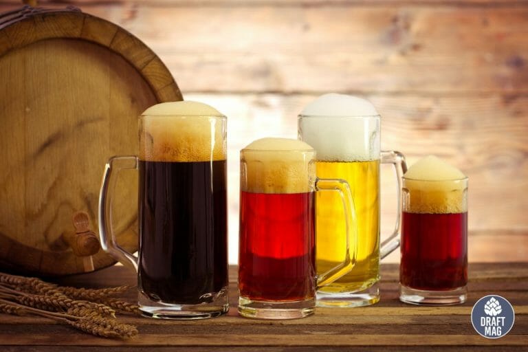 Italian Beer A Complete Guide To Choosing the Toprated Brews