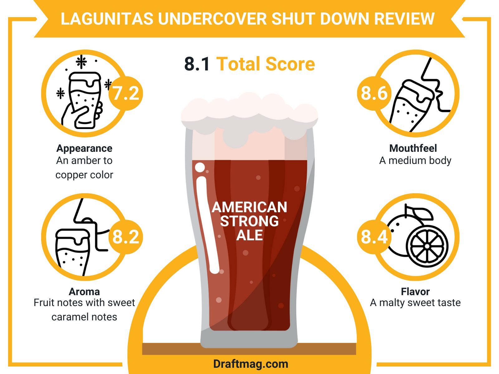 Lagunitas Undercover Review Infographic