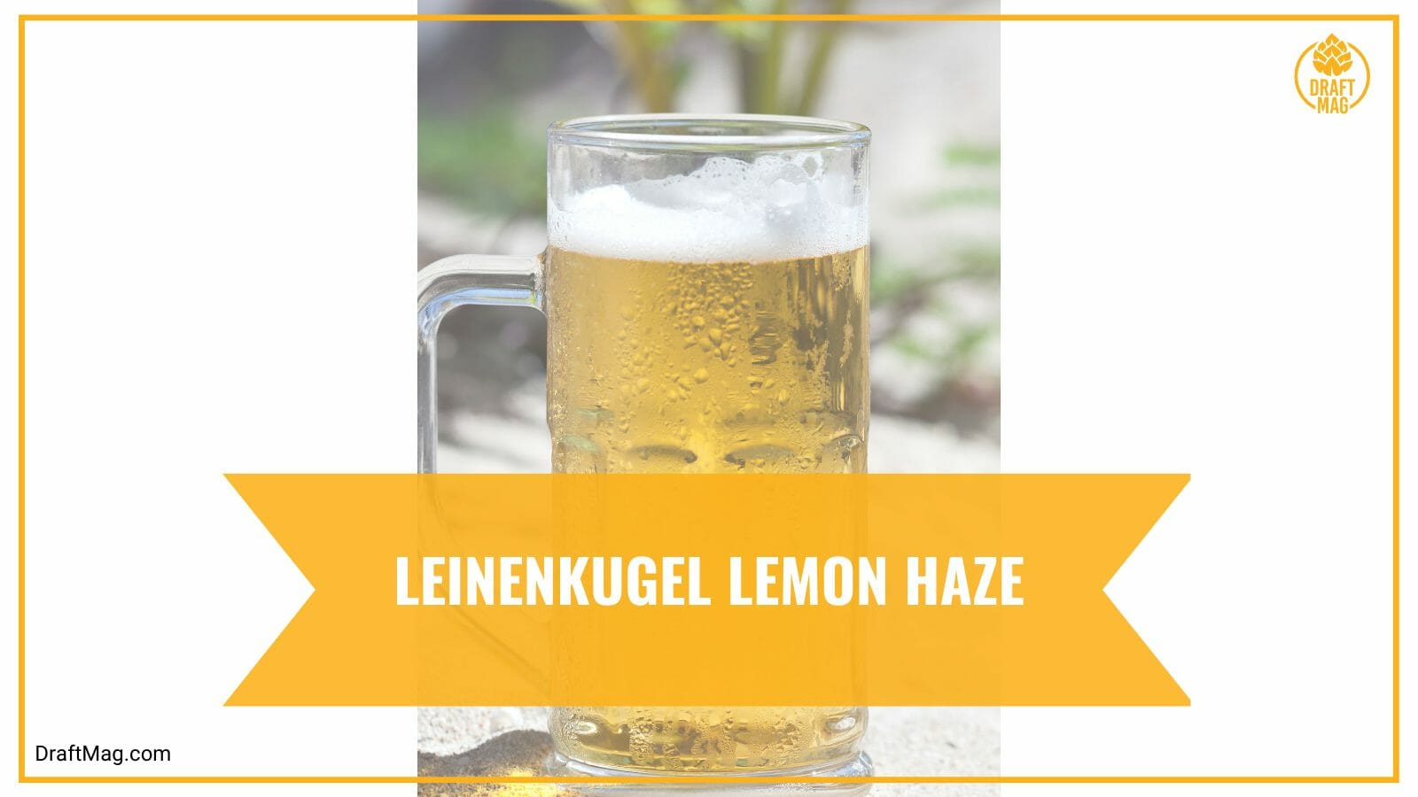 Leinenkugel Lemon Haze Guide