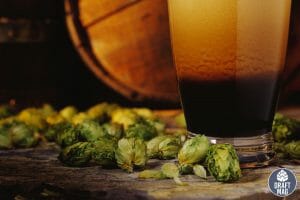 Nelson Sauvin Hops Guide: What Makes This Hop Type Special?
