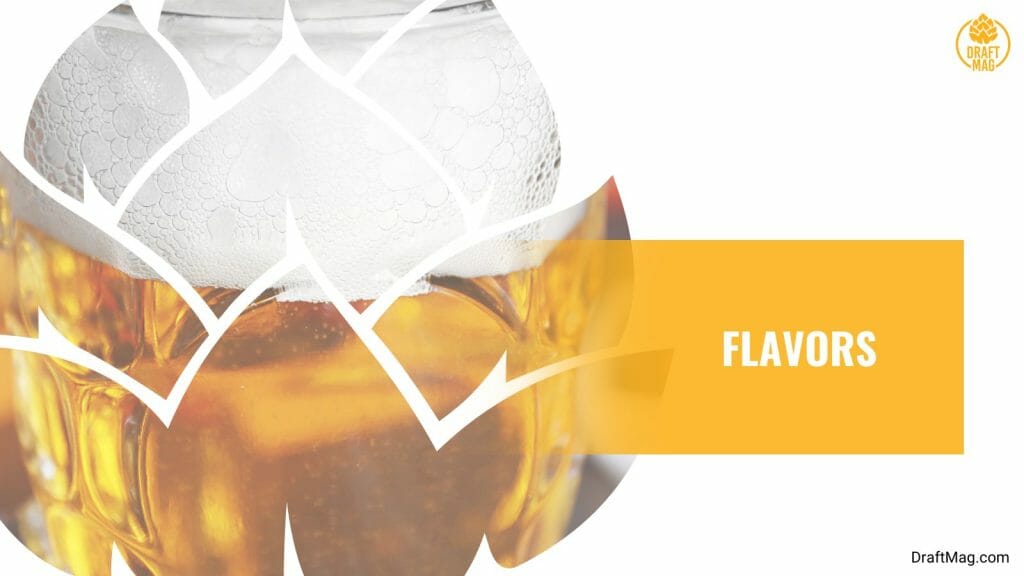 Wormtown Be Hoppy Review A Complete Guide to This Unique IPA