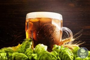 Okult beer review