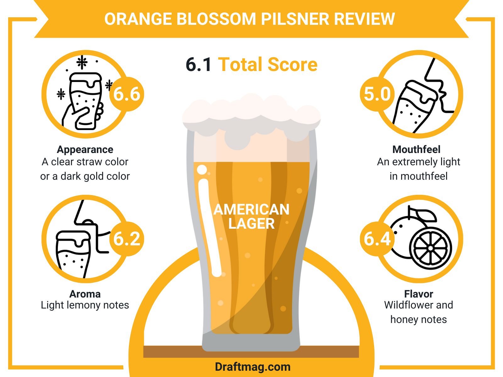 Orange Blossom Pilsner Review Infographic