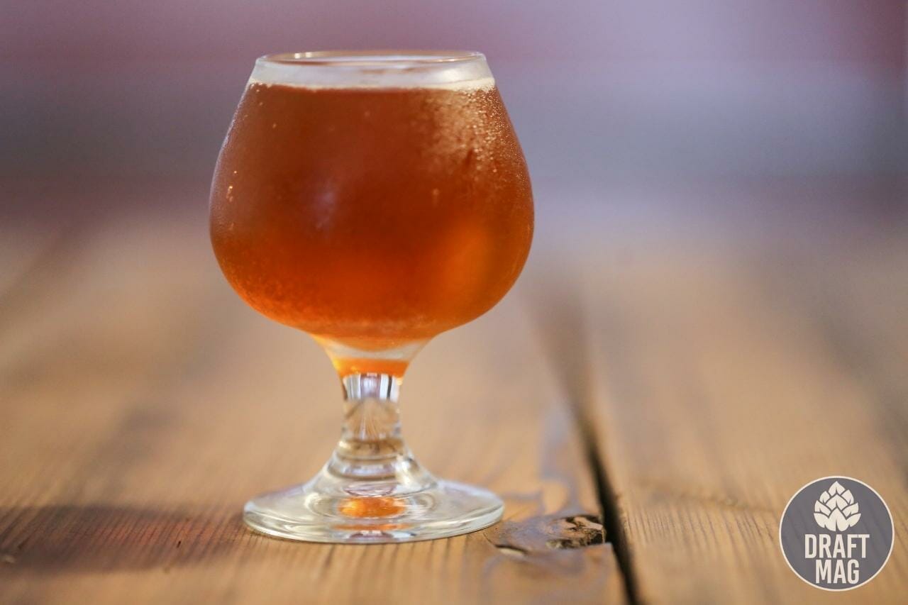 Passion Wolf Hazy IPA The Amazing Review to Golden Road's Latest IPA