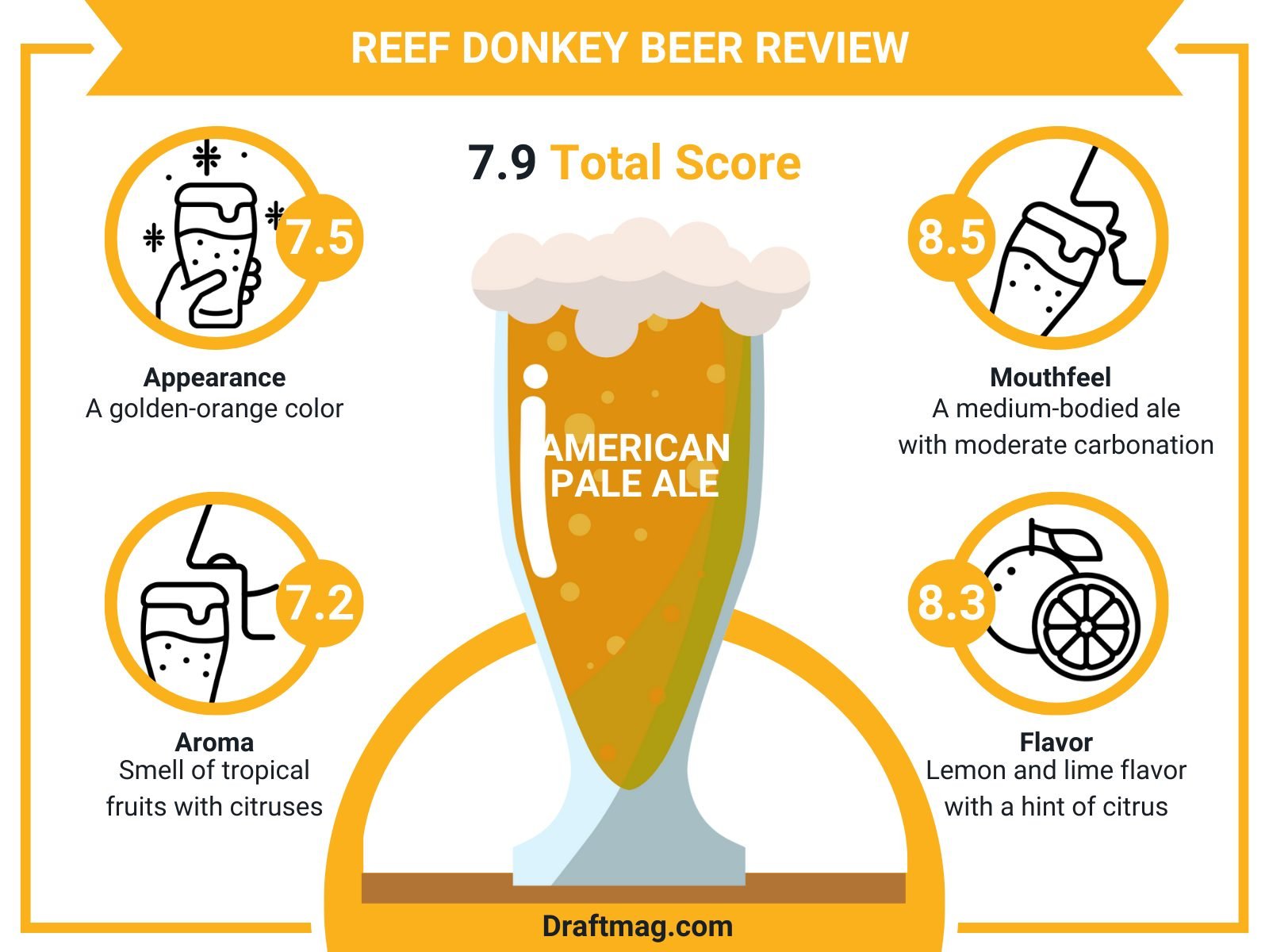 Reef Donkey Beer Review Infographic