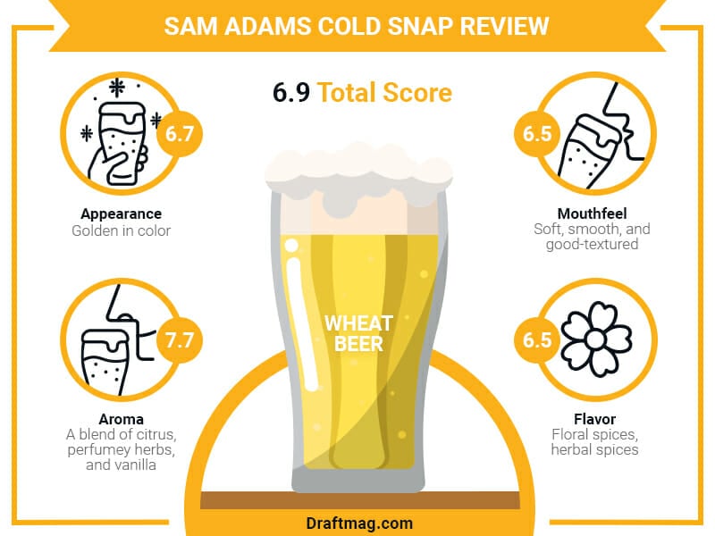 Sam Adams Cold Snap Infographic