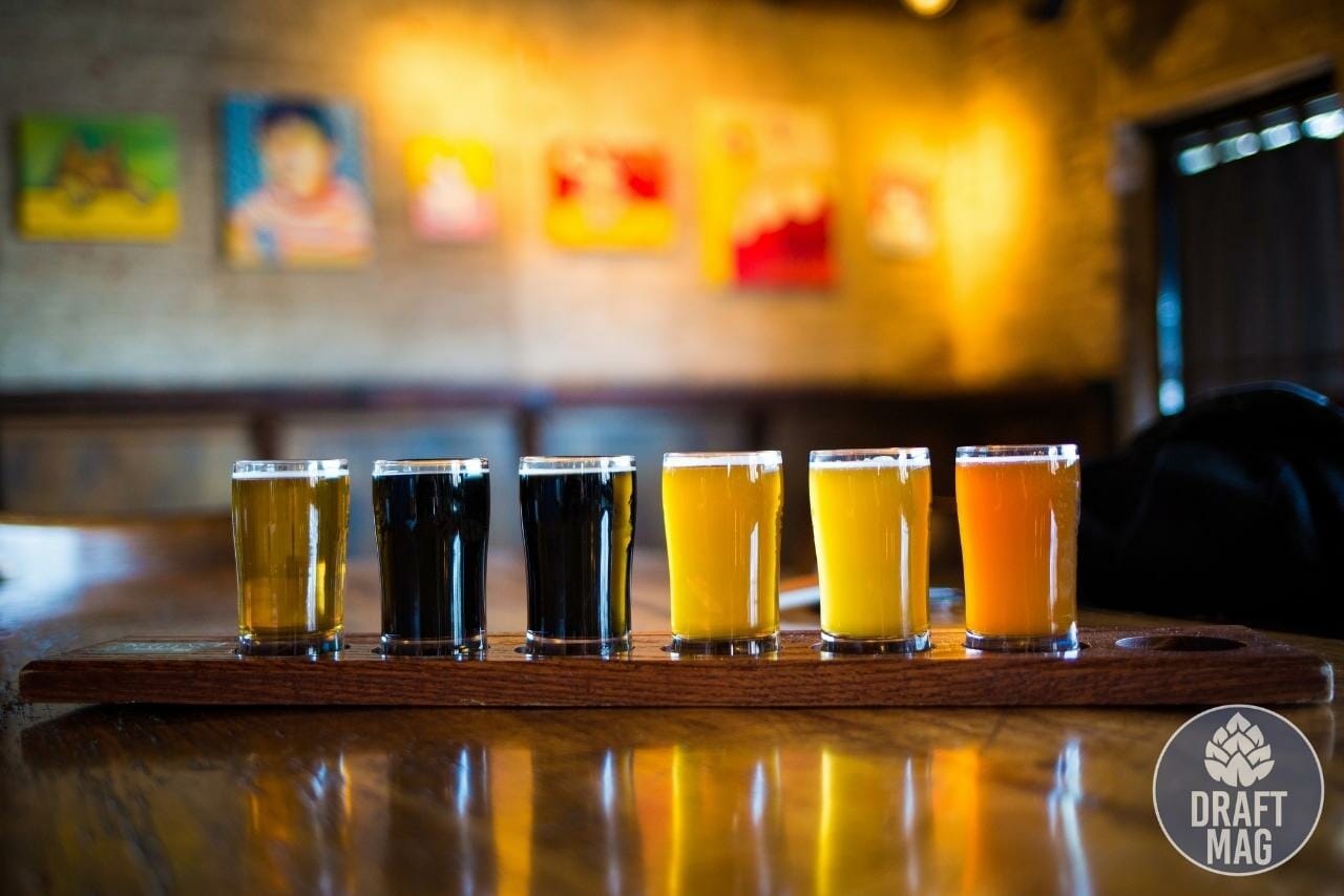 Sessions IPA vs IPA How To Choose One for Your Next Party